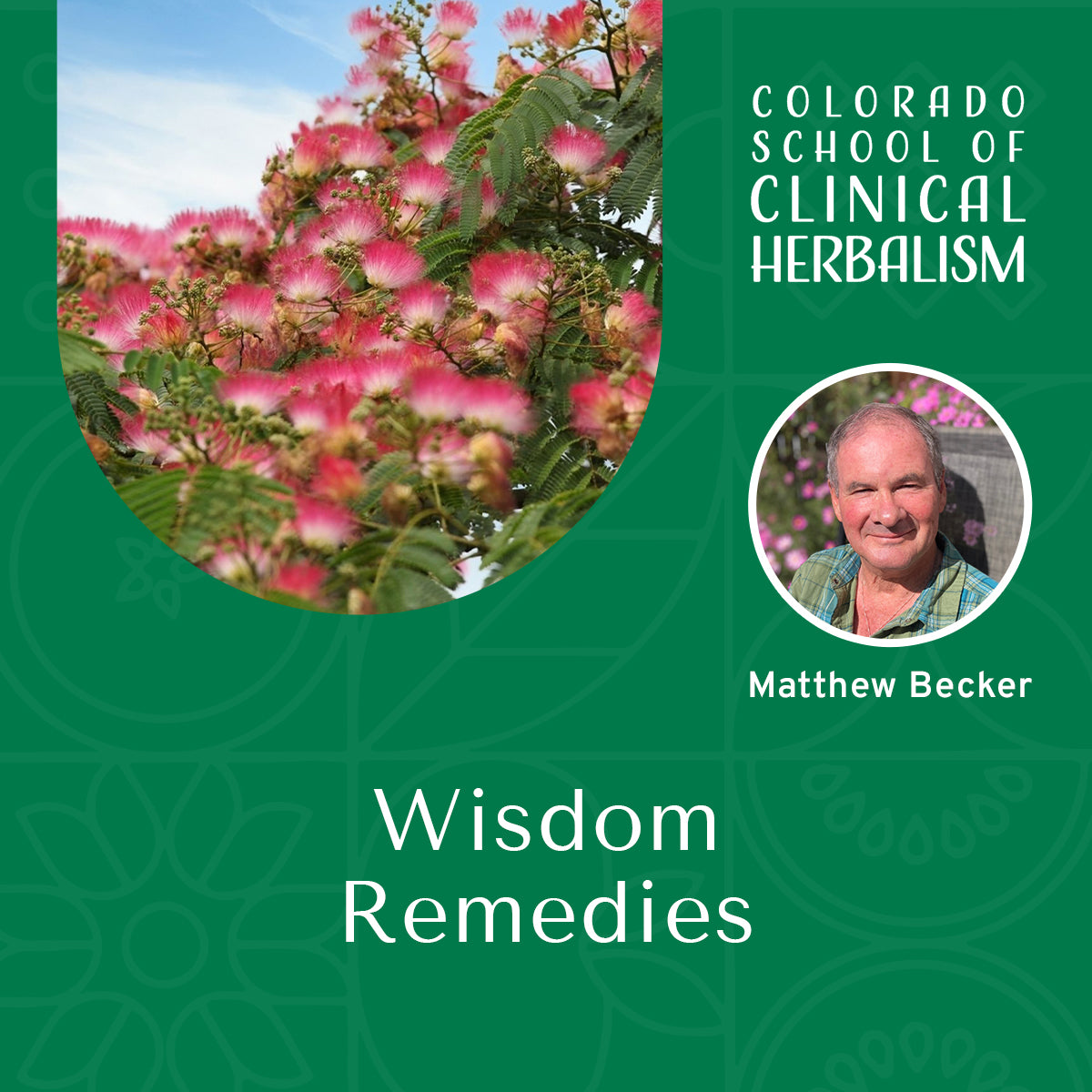 Wisdom Remedies: Time-Tested Plant Allies for Body & Spirit