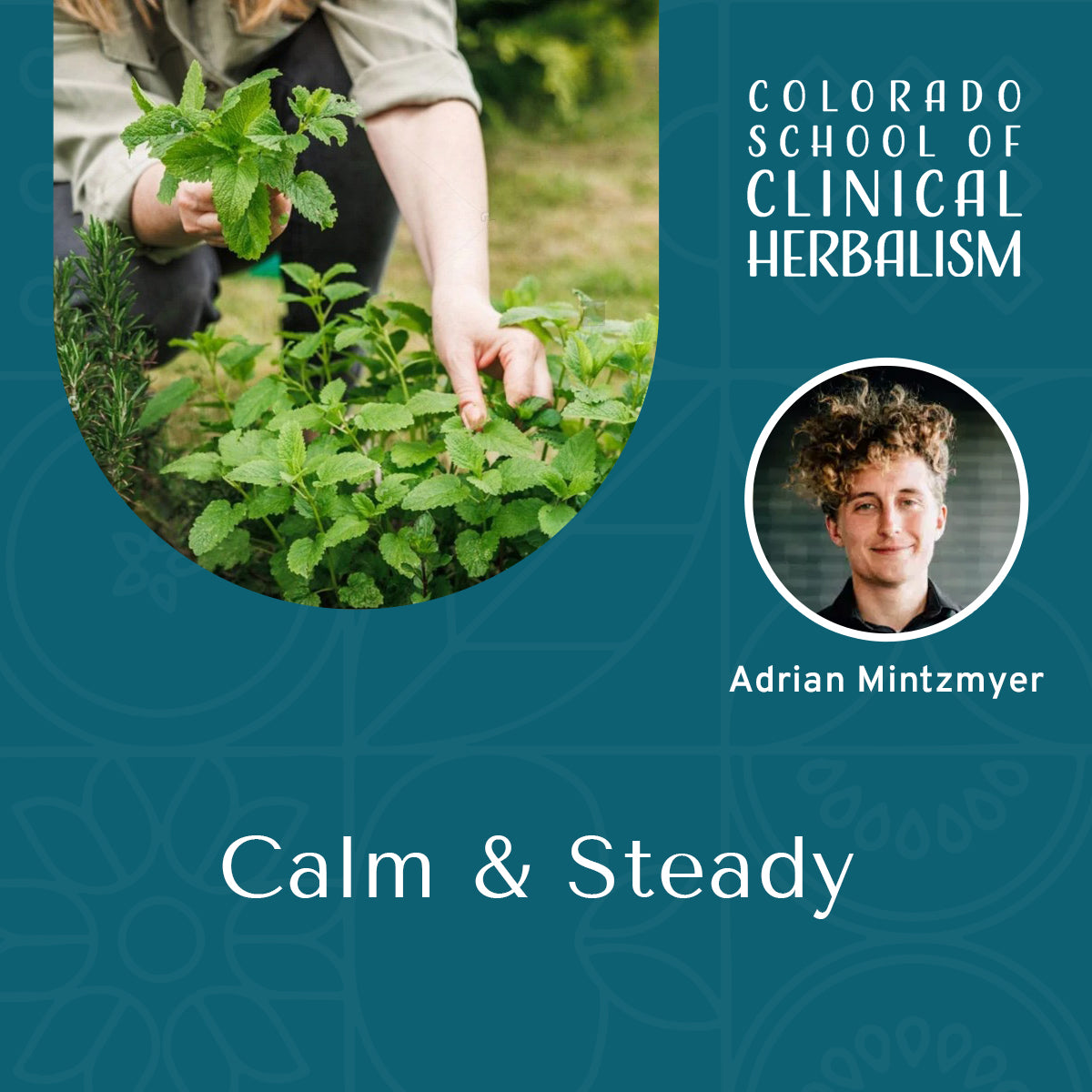 Calm & Steady: An Herbalist’s Guide to the Nervous System