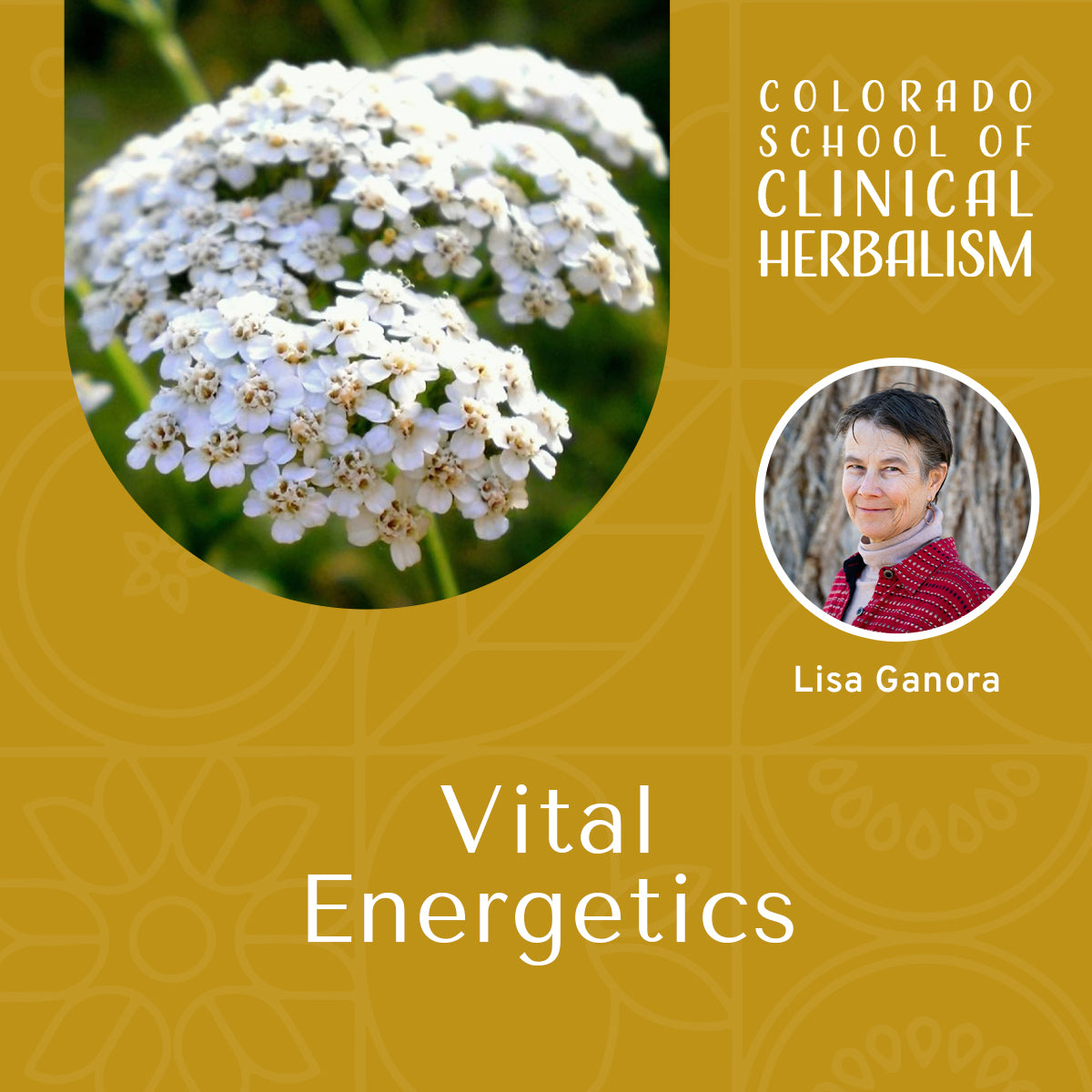 Vital Energetics: Foundations of Herbal Intelligence
