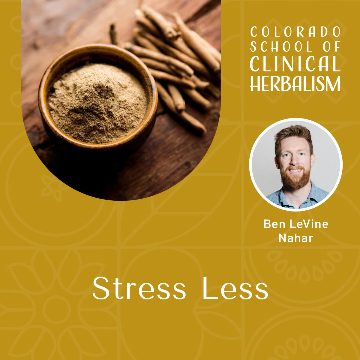 Stress Less: The Power of Adaptogenic Herbs