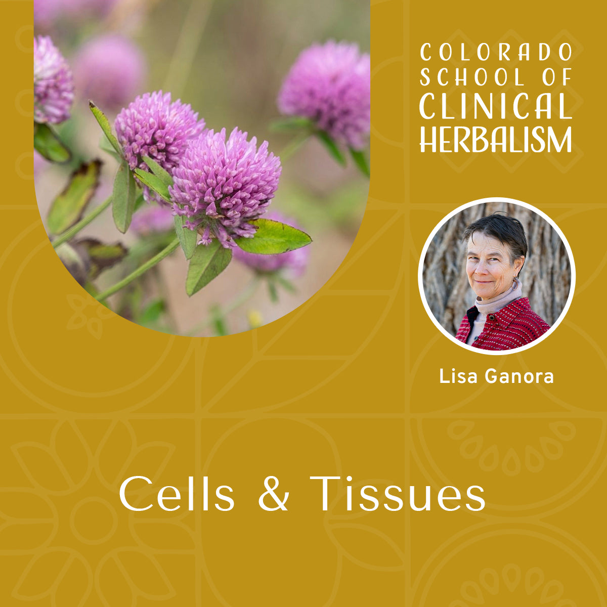Cells & Tissues: The Landscape of the Body