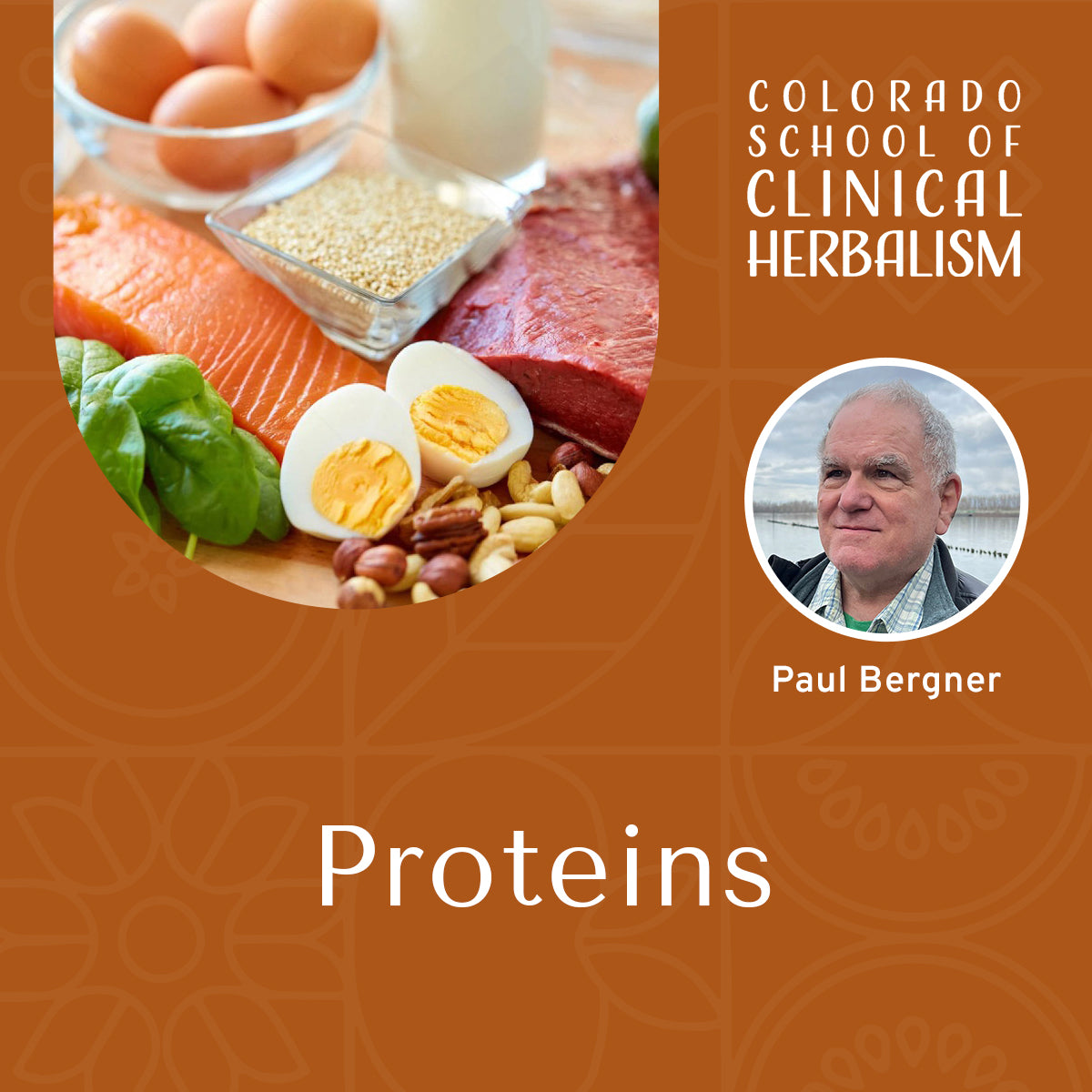 Proteins: The Building Blocks of Vital Health