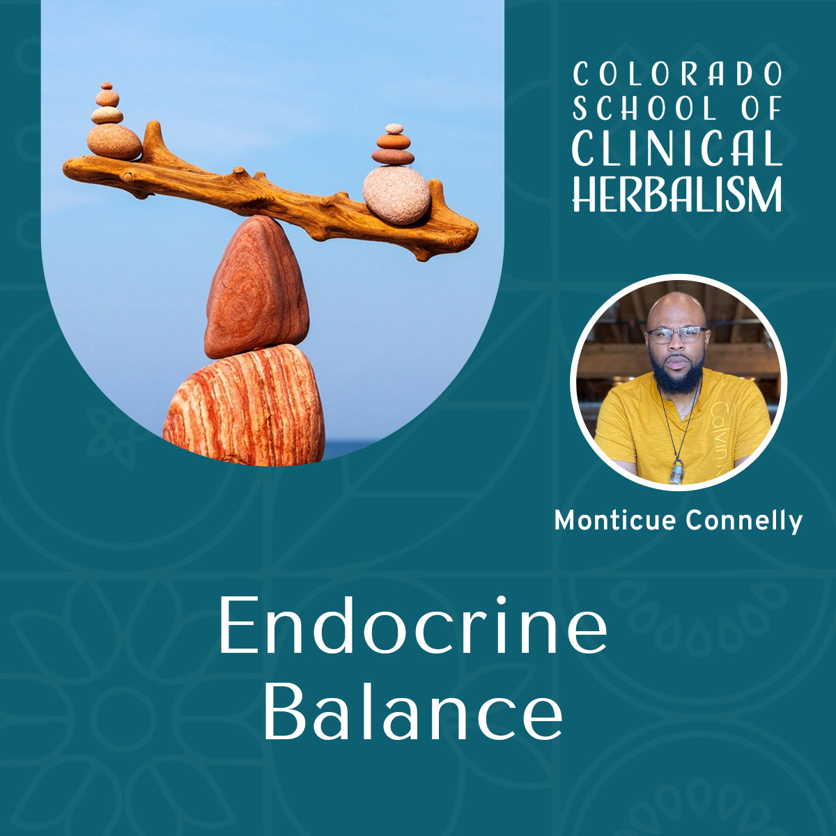 Endocrine Balance: Herbal Strategies for Hormonal Harmony