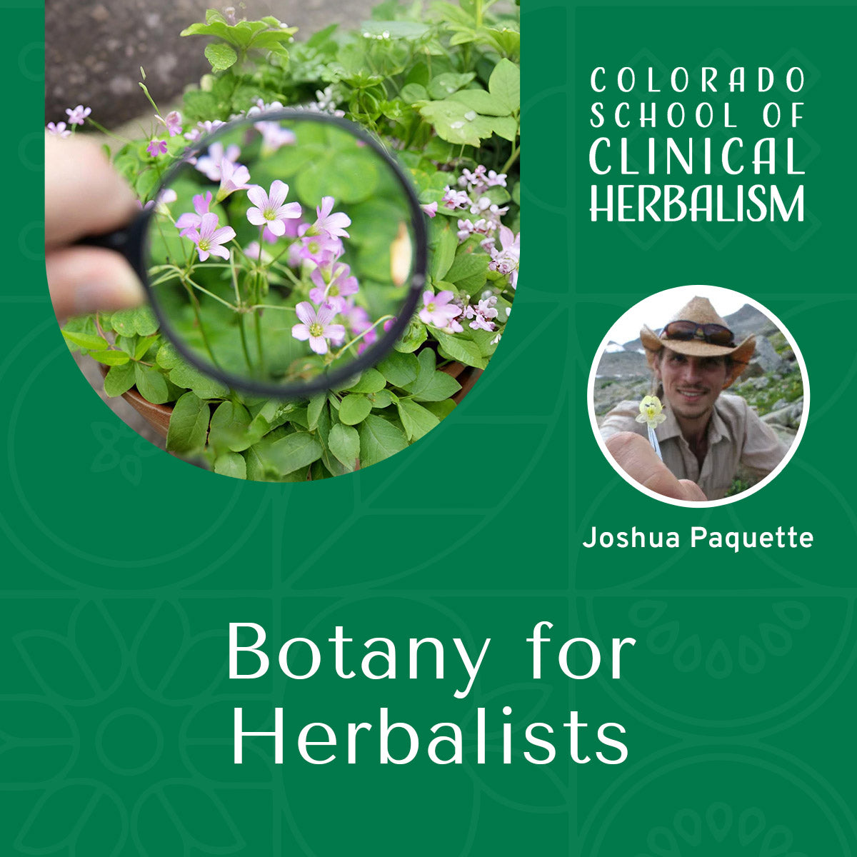 Botany for Herbalists: Introduction to Plant Identification