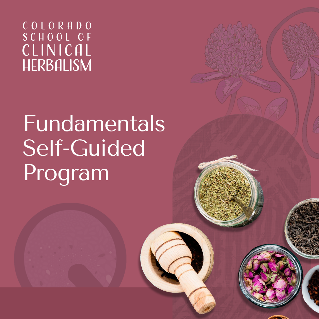 Fundamentals Self-Guided Program