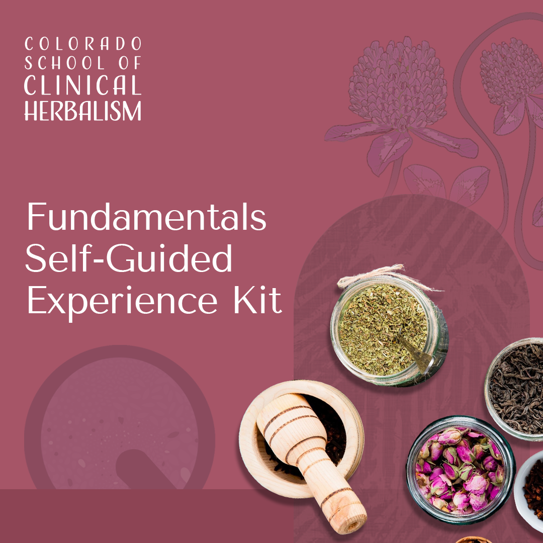 Fundamentals Self-Guided Program Herbal Experience Kit