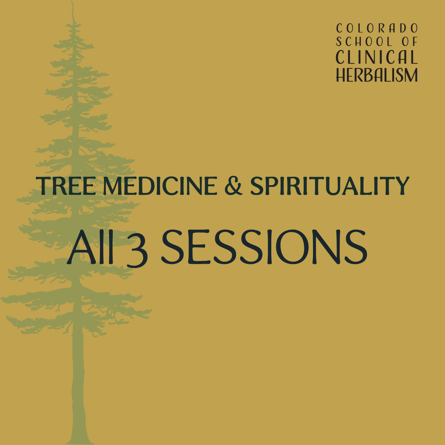 Tree Medicine & Spirituality with Dr. Paul Red Elk (In Person Only)