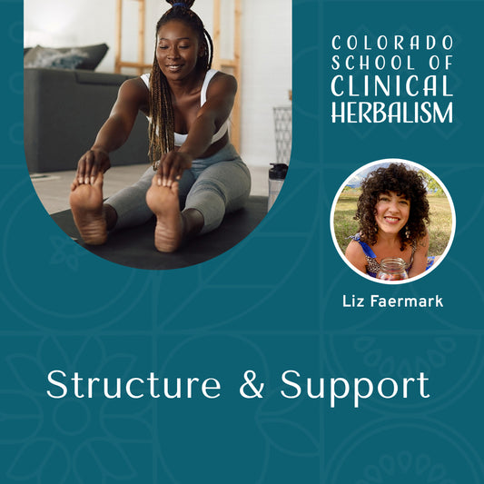 Structure & Support: Herbal Care for Muscles, Bones, & Joints
