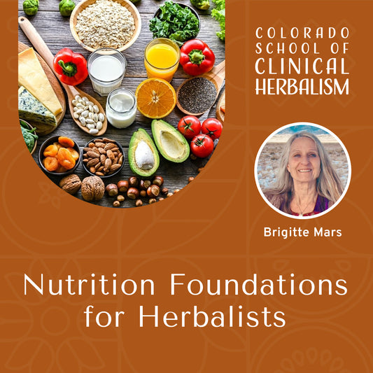 Nutrition Foundations for Herbalists