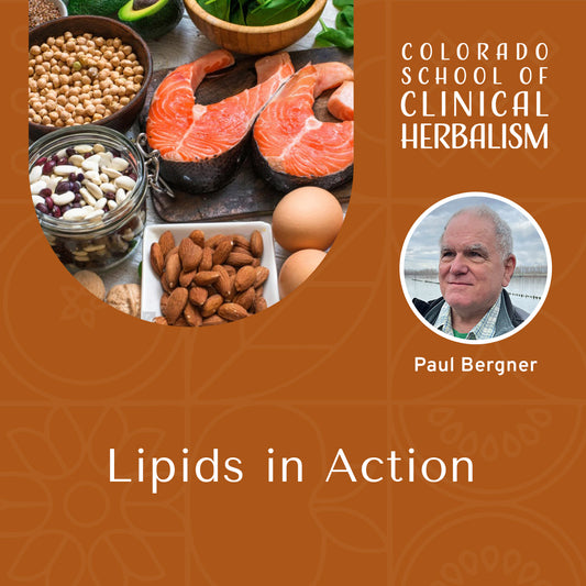 Lipids in Action: Allies for Brain, Hormones, & Energy
