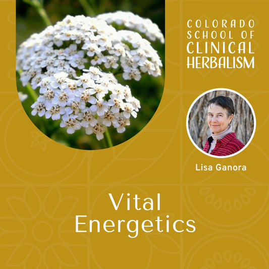Vital Energetics: Foundations of Herbal Intelligence