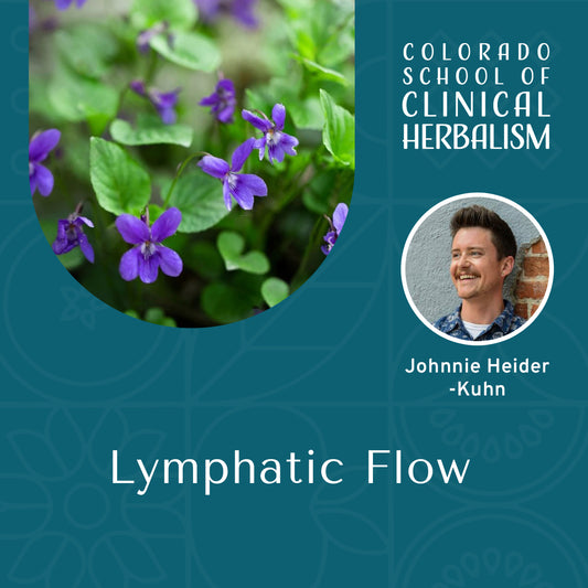 Lymphatic Flow: Herbal Support for Circulation, Immunity, & Detox