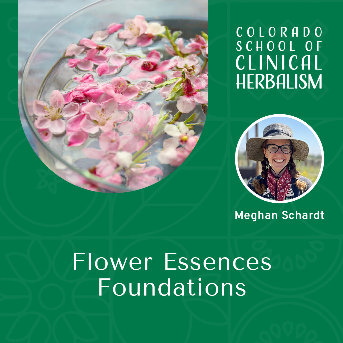 Flower Essences Foundations: Theory, Practice, & the Bach Essences