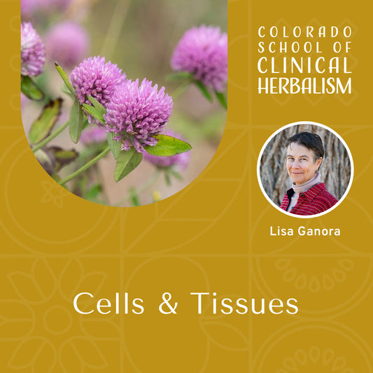 Cells & Tissues: The Landscape of the Body