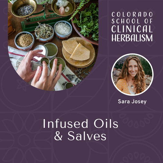 Infused Oils & Salves: Topical Herbal Preparations