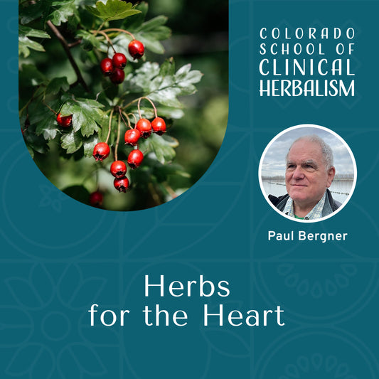 Herbs for the Heart: Cardiovascular Support Through Plants