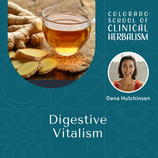 Digestive Vitalism: Gut Health & Restoration