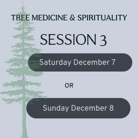 Session Three: Tree Medicine & Spirituality with Dr. Paul Red Elk (In Person Only)