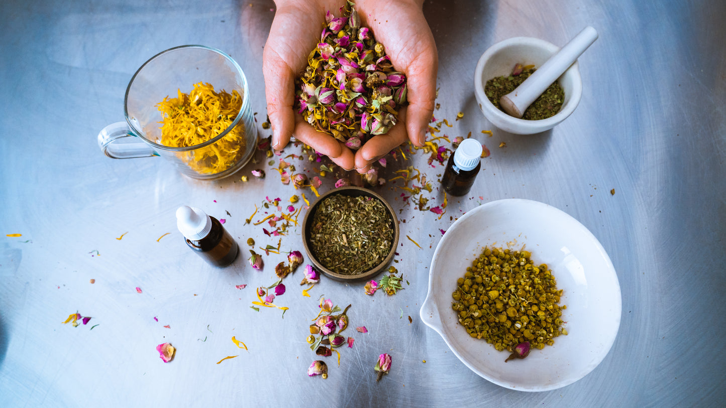 Experience Kit: Fundamentals of Medical Herbalism Online Certificate