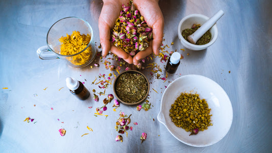 Experience Kit: Fundamentals of Medical Herbalism Online Certificate