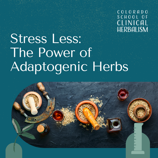 Stress Less:  The Power of Adaptogenic Herbs