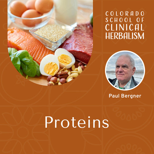 Proteins: The Building Blocks of Vital Health
