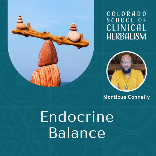 Endocrine Balance: Herbal Strategies for Hormonal Harmony