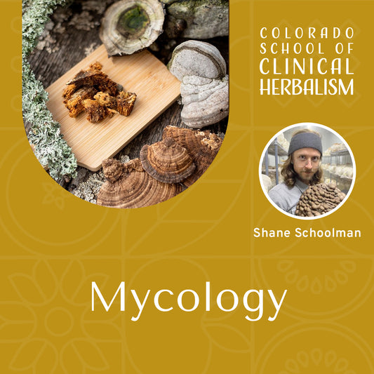 Mycology: The Study of Medicinal Mushrooms