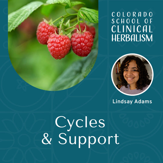 Cycles & Support: Herbs for Uterine and Hormonal Well-being