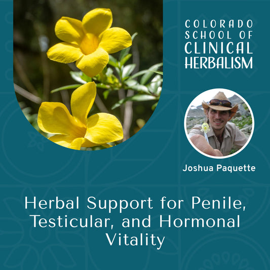 Herbal Support for Penile, Testicular, and Hormonal Vitality