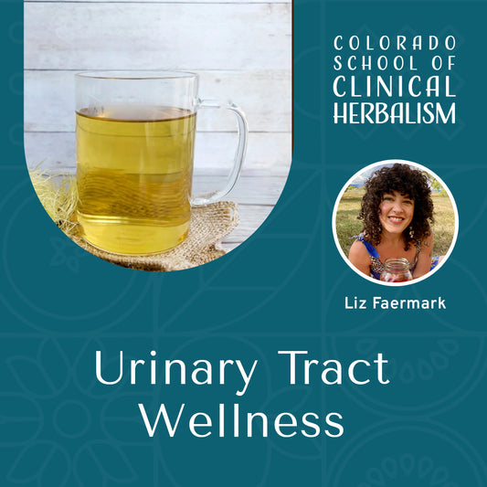 Urinary Tract Wellness: Herbal Approaches