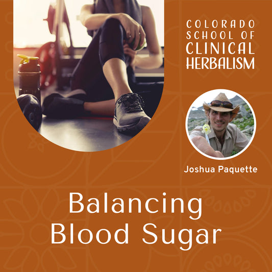 Balancing Blood Sugar: Strategies for Insulin Health