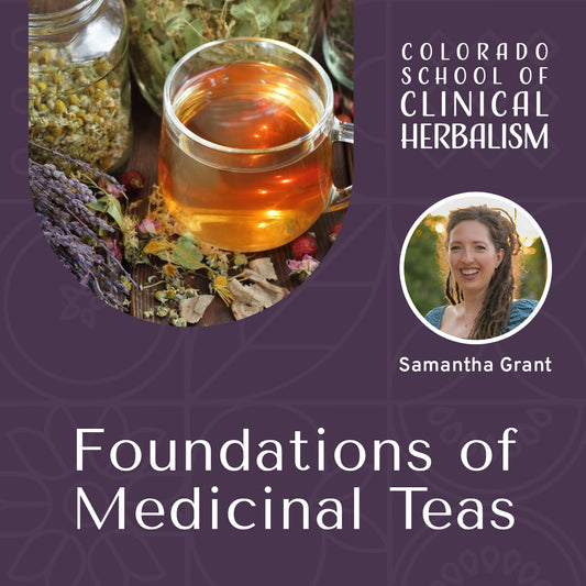 Foundations of Medicinal Teas: Infusions, Decoctions, & Water-Based Extraction