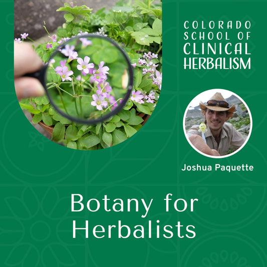 Botany for Herbalists: Introduction to Plant Identification