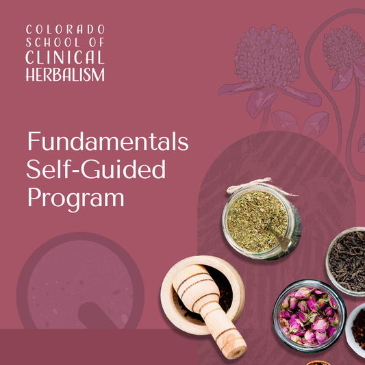 Fundamentals Self-Guided Program